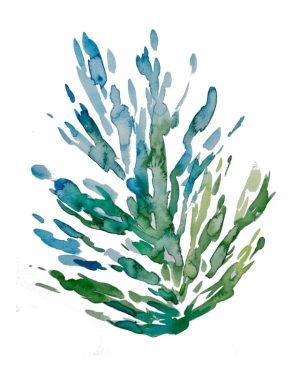 Botanical Breeze Watercolor by Jaime Cain