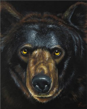 Bear-nard by Elena Frost